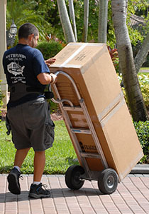 professional movers